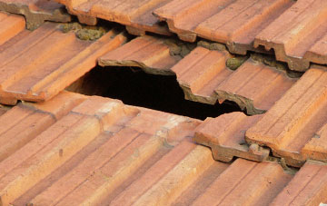 roof repair Whitebushes, Surrey